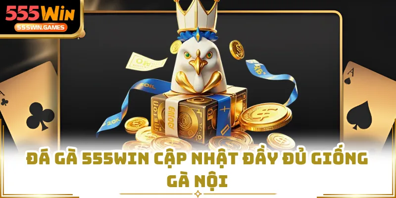 Đá gà 555WIN cập nhật đầy đủ giống gà nội