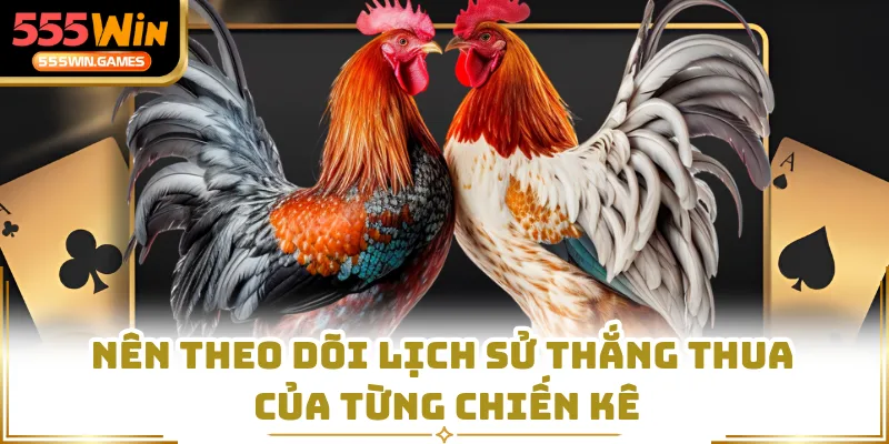 Nên theo dõi lịch sử thắng thua của từng chiến kê